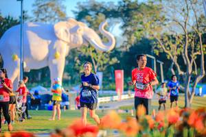 BIB: 
                            <button type="button" onclick="openModal(26184004)" class="btn btn-primary btn-sm float-right btn-popup" data-toggle="modal" data-target=".modal-high-quality">
                        <i class="fas fa-shopping-cart"></i> Add to Cart
                    </button>
                                            <button type="button" onclick="isThisMe(26184004, true)" class="btn btn-success btn-sm float-right btn-popup btn-isme hidden" data-toggle="tooltip" data-placement="bottom" title="นี่คือรูปของคุณใช่ไหม คลิกที่นี่เพื่อเอาเข้าอัลบั้ม">
                        <i class="fas fa-plus"></i> Add to album
                    </button>
                    <button type="button" onclick="isThisMe(26184004, false)" class="btn btn-warning btn-sm float-right btn-popup btn-isnotme hidden">
                        <i class="fas fa-ban"></i> Remove from album
                    </button>