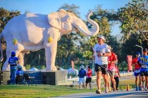 BIB: 
                            <button type="button" onclick="openModal(26183682)" class="btn btn-primary btn-sm float-right btn-popup" data-toggle="modal" data-target=".modal-high-quality">
                        <i class="fas fa-shopping-cart"></i> Add to Cart
                    </button>
                                            <button type="button" onclick="isThisMe(26183682, true)" class="btn btn-success btn-sm float-right btn-popup btn-isme hidden" data-toggle="tooltip" data-placement="bottom" title="นี่คือรูปของคุณใช่ไหม คลิกที่นี่เพื่อเอาเข้าอัลบั้ม">
                        <i class="fas fa-plus"></i> Add to album
                    </button>
                    <button type="button" onclick="isThisMe(26183682, false)" class="btn btn-warning btn-sm float-right btn-popup btn-isnotme hidden">
                        <i class="fas fa-ban"></i> Remove from album
                    </button>