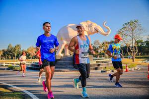 BIB: 
                            <button type="button" onclick="openModal(26186486)" class="btn btn-primary btn-sm float-right btn-popup" data-toggle="modal" data-target=".modal-high-quality">
                        <i class="fas fa-shopping-cart"></i> Add to Cart
                    </button>
                                            <button type="button" onclick="isThisMe(26186486, true)" class="btn btn-success btn-sm float-right btn-popup btn-isme hidden" data-toggle="tooltip" data-placement="bottom" title="นี่คือรูปของคุณใช่ไหม คลิกที่นี่เพื่อเอาเข้าอัลบั้ม">
                        <i class="fas fa-plus"></i> Add to album
                    </button>
                    <button type="button" onclick="isThisMe(26186486, false)" class="btn btn-warning btn-sm float-right btn-popup btn-isnotme hidden">
                        <i class="fas fa-ban"></i> Remove from album
                    </button>