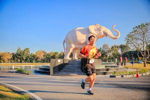 BIB: 
                            <button type="button" onclick="openModal(26186448)" class="btn btn-primary btn-sm float-right btn-popup" data-toggle="modal" data-target=".modal-high-quality">
                        <i class="fas fa-shopping-cart"></i> Add to Cart
                    </button>
                                            <button type="button" onclick="isThisMe(26186448, true)" class="btn btn-success btn-sm float-right btn-popup btn-isme hidden" data-toggle="tooltip" data-placement="bottom" title="นี่คือรูปของคุณใช่ไหม คลิกที่นี่เพื่อเอาเข้าอัลบั้ม">
                        <i class="fas fa-plus"></i> Add to album
                    </button>
                    <button type="button" onclick="isThisMe(26186448, false)" class="btn btn-warning btn-sm float-right btn-popup btn-isnotme hidden">
                        <i class="fas fa-ban"></i> Remove from album
                    </button>