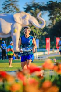 BIB: 
                            <button type="button" onclick="openModal(26183923)" class="btn btn-primary btn-sm float-right btn-popup" data-toggle="modal" data-target=".modal-high-quality">
                        <i class="fas fa-shopping-cart"></i> Add to Cart
                    </button>
                                            <button type="button" onclick="isThisMe(26183923, true)" class="btn btn-success btn-sm float-right btn-popup btn-isme hidden" data-toggle="tooltip" data-placement="bottom" title="นี่คือรูปของคุณใช่ไหม คลิกที่นี่เพื่อเอาเข้าอัลบั้ม">
                        <i class="fas fa-plus"></i> Add to album
                    </button>
                    <button type="button" onclick="isThisMe(26183923, false)" class="btn btn-warning btn-sm float-right btn-popup btn-isnotme hidden">
                        <i class="fas fa-ban"></i> Remove from album
                    </button>