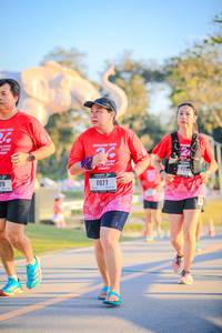 BIB: 
                            <button type="button" onclick="openModal(26183378)" class="btn btn-primary btn-sm float-right btn-popup" data-toggle="modal" data-target=".modal-high-quality">
                        <i class="fas fa-shopping-cart"></i> Add to Cart
                    </button>
                                            <button type="button" onclick="isThisMe(26183378, true)" class="btn btn-success btn-sm float-right btn-popup btn-isme hidden" data-toggle="tooltip" data-placement="bottom" title="นี่คือรูปของคุณใช่ไหม คลิกที่นี่เพื่อเอาเข้าอัลบั้ม">
                        <i class="fas fa-plus"></i> Add to album
                    </button>
                    <button type="button" onclick="isThisMe(26183378, false)" class="btn btn-warning btn-sm float-right btn-popup btn-isnotme hidden">
                        <i class="fas fa-ban"></i> Remove from album
                    </button>