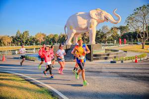 BIB: 
                            <button type="button" onclick="openModal(26186565)" class="btn btn-primary btn-sm float-right btn-popup" data-toggle="modal" data-target=".modal-high-quality">
                        <i class="fas fa-shopping-cart"></i> Add to Cart
                    </button>
                                            <button type="button" onclick="isThisMe(26186565, true)" class="btn btn-success btn-sm float-right btn-popup btn-isme hidden" data-toggle="tooltip" data-placement="bottom" title="นี่คือรูปของคุณใช่ไหม คลิกที่นี่เพื่อเอาเข้าอัลบั้ม">
                        <i class="fas fa-plus"></i> Add to album
                    </button>
                    <button type="button" onclick="isThisMe(26186565, false)" class="btn btn-warning btn-sm float-right btn-popup btn-isnotme hidden">
                        <i class="fas fa-ban"></i> Remove from album
                    </button>