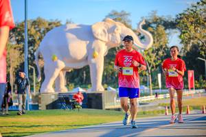 BIB: 
                            <button type="button" onclick="openModal(26183533)" class="btn btn-primary btn-sm float-right btn-popup" data-toggle="modal" data-target=".modal-high-quality">
                        <i class="fas fa-shopping-cart"></i> Add to Cart
                    </button>
                                            <button type="button" onclick="isThisMe(26183533, true)" class="btn btn-success btn-sm float-right btn-popup btn-isme hidden" data-toggle="tooltip" data-placement="bottom" title="นี่คือรูปของคุณใช่ไหม คลิกที่นี่เพื่อเอาเข้าอัลบั้ม">
                        <i class="fas fa-plus"></i> Add to album
                    </button>
                    <button type="button" onclick="isThisMe(26183533, false)" class="btn btn-warning btn-sm float-right btn-popup btn-isnotme hidden">
                        <i class="fas fa-ban"></i> Remove from album
                    </button>