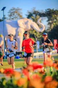 BIB: 
                            <button type="button" onclick="openModal(26183925)" class="btn btn-primary btn-sm float-right btn-popup" data-toggle="modal" data-target=".modal-high-quality">
                        <i class="fas fa-shopping-cart"></i> Add to Cart
                    </button>
                                            <button type="button" onclick="isThisMe(26183925, true)" class="btn btn-success btn-sm float-right btn-popup btn-isme hidden" data-toggle="tooltip" data-placement="bottom" title="นี่คือรูปของคุณใช่ไหม คลิกที่นี่เพื่อเอาเข้าอัลบั้ม">
                        <i class="fas fa-plus"></i> Add to album
                    </button>
                    <button type="button" onclick="isThisMe(26183925, false)" class="btn btn-warning btn-sm float-right btn-popup btn-isnotme hidden">
                        <i class="fas fa-ban"></i> Remove from album
                    </button>