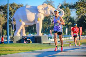 BIB: 
                            <button type="button" onclick="openModal(26183591)" class="btn btn-primary btn-sm float-right btn-popup" data-toggle="modal" data-target=".modal-high-quality">
                        <i class="fas fa-shopping-cart"></i> Add to Cart
                    </button>
                                            <button type="button" onclick="isThisMe(26183591, true)" class="btn btn-success btn-sm float-right btn-popup btn-isme hidden" data-toggle="tooltip" data-placement="bottom" title="นี่คือรูปของคุณใช่ไหม คลิกที่นี่เพื่อเอาเข้าอัลบั้ม">
                        <i class="fas fa-plus"></i> Add to album
                    </button>
                    <button type="button" onclick="isThisMe(26183591, false)" class="btn btn-warning btn-sm float-right btn-popup btn-isnotme hidden">
                        <i class="fas fa-ban"></i> Remove from album
                    </button>