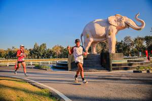 BIB: 
                            <button type="button" onclick="openModal(26186375)" class="btn btn-primary btn-sm float-right btn-popup" data-toggle="modal" data-target=".modal-high-quality">
                        <i class="fas fa-shopping-cart"></i> Add to Cart
                    </button>
                                            <button type="button" onclick="isThisMe(26186375, true)" class="btn btn-success btn-sm float-right btn-popup btn-isme hidden" data-toggle="tooltip" data-placement="bottom" title="นี่คือรูปของคุณใช่ไหม คลิกที่นี่เพื่อเอาเข้าอัลบั้ม">
                        <i class="fas fa-plus"></i> Add to album
                    </button>
                    <button type="button" onclick="isThisMe(26186375, false)" class="btn btn-warning btn-sm float-right btn-popup btn-isnotme hidden">
                        <i class="fas fa-ban"></i> Remove from album
                    </button>