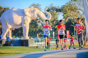 BIB: 
                            <button type="button" onclick="openModal(26183702)" class="btn btn-primary btn-sm float-right btn-popup" data-toggle="modal" data-target=".modal-high-quality">
                        <i class="fas fa-shopping-cart"></i> Add to Cart
                    </button>
                                            <button type="button" onclick="isThisMe(26183702, true)" class="btn btn-success btn-sm float-right btn-popup btn-isme hidden" data-toggle="tooltip" data-placement="bottom" title="นี่คือรูปของคุณใช่ไหม คลิกที่นี่เพื่อเอาเข้าอัลบั้ม">
                        <i class="fas fa-plus"></i> Add to album
                    </button>
                    <button type="button" onclick="isThisMe(26183702, false)" class="btn btn-warning btn-sm float-right btn-popup btn-isnotme hidden">
                        <i class="fas fa-ban"></i> Remove from album
                    </button>