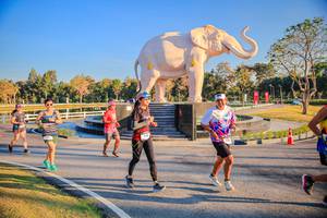 BIB: 
                            <button type="button" onclick="openModal(26186576)" class="btn btn-primary btn-sm float-right btn-popup" data-toggle="modal" data-target=".modal-high-quality">
                        <i class="fas fa-shopping-cart"></i> Add to Cart
                    </button>
                                            <button type="button" onclick="isThisMe(26186576, true)" class="btn btn-success btn-sm float-right btn-popup btn-isme hidden" data-toggle="tooltip" data-placement="bottom" title="นี่คือรูปของคุณใช่ไหม คลิกที่นี่เพื่อเอาเข้าอัลบั้ม">
                        <i class="fas fa-plus"></i> Add to album
                    </button>
                    <button type="button" onclick="isThisMe(26186576, false)" class="btn btn-warning btn-sm float-right btn-popup btn-isnotme hidden">
                        <i class="fas fa-ban"></i> Remove from album
                    </button>