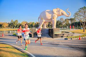 BIB: 
                            <button type="button" onclick="openModal(26186592)" class="btn btn-primary btn-sm float-right btn-popup" data-toggle="modal" data-target=".modal-high-quality">
                        <i class="fas fa-shopping-cart"></i> Add to Cart
                    </button>
                                            <button type="button" onclick="isThisMe(26186592, true)" class="btn btn-success btn-sm float-right btn-popup btn-isme hidden" data-toggle="tooltip" data-placement="bottom" title="นี่คือรูปของคุณใช่ไหม คลิกที่นี่เพื่อเอาเข้าอัลบั้ม">
                        <i class="fas fa-plus"></i> Add to album
                    </button>
                    <button type="button" onclick="isThisMe(26186592, false)" class="btn btn-warning btn-sm float-right btn-popup btn-isnotme hidden">
                        <i class="fas fa-ban"></i> Remove from album
                    </button>