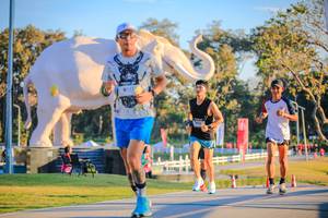 BIB: 
                            <button type="button" onclick="openModal(26183475)" class="btn btn-primary btn-sm float-right btn-popup" data-toggle="modal" data-target=".modal-high-quality">
                        <i class="fas fa-shopping-cart"></i> Add to Cart
                    </button>
                                            <button type="button" onclick="isThisMe(26183475, true)" class="btn btn-success btn-sm float-right btn-popup btn-isme hidden" data-toggle="tooltip" data-placement="bottom" title="นี่คือรูปของคุณใช่ไหม คลิกที่นี่เพื่อเอาเข้าอัลบั้ม">
                        <i class="fas fa-plus"></i> Add to album
                    </button>
                    <button type="button" onclick="isThisMe(26183475, false)" class="btn btn-warning btn-sm float-right btn-popup btn-isnotme hidden">
                        <i class="fas fa-ban"></i> Remove from album
                    </button>