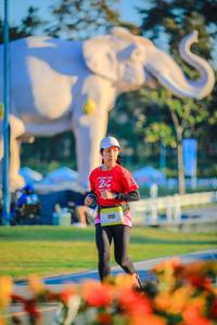 BIB: 
                            <button type="button" onclick="openModal(26183827)" class="btn btn-primary btn-sm float-right btn-popup" data-toggle="modal" data-target=".modal-high-quality">
                        <i class="fas fa-shopping-cart"></i> Add to Cart
                    </button>
                                            <button type="button" onclick="isThisMe(26183827, true)" class="btn btn-success btn-sm float-right btn-popup btn-isme hidden" data-toggle="tooltip" data-placement="bottom" title="นี่คือรูปของคุณใช่ไหม คลิกที่นี่เพื่อเอาเข้าอัลบั้ม">
                        <i class="fas fa-plus"></i> Add to album
                    </button>
                    <button type="button" onclick="isThisMe(26183827, false)" class="btn btn-warning btn-sm float-right btn-popup btn-isnotme hidden">
                        <i class="fas fa-ban"></i> Remove from album
                    </button>