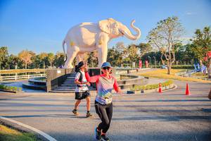 BIB: 
                            <button type="button" onclick="openModal(26186637)" class="btn btn-primary btn-sm float-right btn-popup" data-toggle="modal" data-target=".modal-high-quality">
                        <i class="fas fa-shopping-cart"></i> Add to Cart
                    </button>
                                            <button type="button" onclick="isThisMe(26186637, true)" class="btn btn-success btn-sm float-right btn-popup btn-isme hidden" data-toggle="tooltip" data-placement="bottom" title="นี่คือรูปของคุณใช่ไหม คลิกที่นี่เพื่อเอาเข้าอัลบั้ม">
                        <i class="fas fa-plus"></i> Add to album
                    </button>
                    <button type="button" onclick="isThisMe(26186637, false)" class="btn btn-warning btn-sm float-right btn-popup btn-isnotme hidden">
                        <i class="fas fa-ban"></i> Remove from album
                    </button>