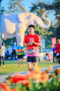 BIB: 
                            <button type="button" onclick="openModal(26183880)" class="btn btn-primary btn-sm float-right btn-popup" data-toggle="modal" data-target=".modal-high-quality">
                        <i class="fas fa-shopping-cart"></i> Add to Cart
                    </button>
                                            <button type="button" onclick="isThisMe(26183880, true)" class="btn btn-success btn-sm float-right btn-popup btn-isme hidden" data-toggle="tooltip" data-placement="bottom" title="นี่คือรูปของคุณใช่ไหม คลิกที่นี่เพื่อเอาเข้าอัลบั้ม">
                        <i class="fas fa-plus"></i> Add to album
                    </button>
                    <button type="button" onclick="isThisMe(26183880, false)" class="btn btn-warning btn-sm float-right btn-popup btn-isnotme hidden">
                        <i class="fas fa-ban"></i> Remove from album
                    </button>