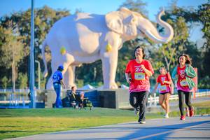 BIB: 
                            <button type="button" onclick="openModal(26183479)" class="btn btn-primary btn-sm float-right btn-popup" data-toggle="modal" data-target=".modal-high-quality">
                        <i class="fas fa-shopping-cart"></i> Add to Cart
                    </button>
                                            <button type="button" onclick="isThisMe(26183479, true)" class="btn btn-success btn-sm float-right btn-popup btn-isme hidden" data-toggle="tooltip" data-placement="bottom" title="นี่คือรูปของคุณใช่ไหม คลิกที่นี่เพื่อเอาเข้าอัลบั้ม">
                        <i class="fas fa-plus"></i> Add to album
                    </button>
                    <button type="button" onclick="isThisMe(26183479, false)" class="btn btn-warning btn-sm float-right btn-popup btn-isnotme hidden">
                        <i class="fas fa-ban"></i> Remove from album
                    </button>