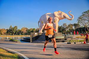 BIB: 
                            <button type="button" onclick="openModal(26186367)" class="btn btn-primary btn-sm float-right btn-popup" data-toggle="modal" data-target=".modal-high-quality">
                        <i class="fas fa-shopping-cart"></i> Add to Cart
                    </button>
                                            <button type="button" onclick="isThisMe(26186367, true)" class="btn btn-success btn-sm float-right btn-popup btn-isme hidden" data-toggle="tooltip" data-placement="bottom" title="นี่คือรูปของคุณใช่ไหม คลิกที่นี่เพื่อเอาเข้าอัลบั้ม">
                        <i class="fas fa-plus"></i> Add to album
                    </button>
                    <button type="button" onclick="isThisMe(26186367, false)" class="btn btn-warning btn-sm float-right btn-popup btn-isnotme hidden">
                        <i class="fas fa-ban"></i> Remove from album
                    </button>