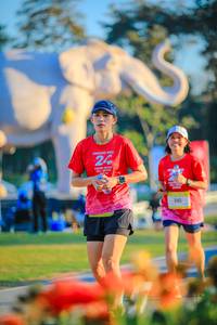 BIB: 
                            <button type="button" onclick="openModal(26183906)" class="btn btn-primary btn-sm float-right btn-popup" data-toggle="modal" data-target=".modal-high-quality">
                        <i class="fas fa-shopping-cart"></i> Add to Cart
                    </button>
                                            <button type="button" onclick="isThisMe(26183906, true)" class="btn btn-success btn-sm float-right btn-popup btn-isme hidden" data-toggle="tooltip" data-placement="bottom" title="นี่คือรูปของคุณใช่ไหม คลิกที่นี่เพื่อเอาเข้าอัลบั้ม">
                        <i class="fas fa-plus"></i> Add to album
                    </button>
                    <button type="button" onclick="isThisMe(26183906, false)" class="btn btn-warning btn-sm float-right btn-popup btn-isnotme hidden">
                        <i class="fas fa-ban"></i> Remove from album
                    </button>