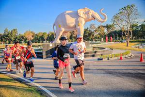 BIB: 
                            <button type="button" onclick="openModal(26186546)" class="btn btn-primary btn-sm float-right btn-popup" data-toggle="modal" data-target=".modal-high-quality">
                        <i class="fas fa-shopping-cart"></i> Add to Cart
                    </button>
                                            <button type="button" onclick="isThisMe(26186546, true)" class="btn btn-success btn-sm float-right btn-popup btn-isme hidden" data-toggle="tooltip" data-placement="bottom" title="นี่คือรูปของคุณใช่ไหม คลิกที่นี่เพื่อเอาเข้าอัลบั้ม">
                        <i class="fas fa-plus"></i> Add to album
                    </button>
                    <button type="button" onclick="isThisMe(26186546, false)" class="btn btn-warning btn-sm float-right btn-popup btn-isnotme hidden">
                        <i class="fas fa-ban"></i> Remove from album
                    </button>