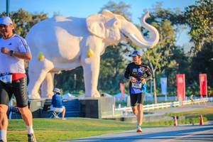 BIB: 
                            <button type="button" onclick="openModal(26183762)" class="btn btn-primary btn-sm float-right btn-popup" data-toggle="modal" data-target=".modal-high-quality">
                        <i class="fas fa-shopping-cart"></i> Add to Cart
                    </button>
                                            <button type="button" onclick="isThisMe(26183762, true)" class="btn btn-success btn-sm float-right btn-popup btn-isme hidden" data-toggle="tooltip" data-placement="bottom" title="นี่คือรูปของคุณใช่ไหม คลิกที่นี่เพื่อเอาเข้าอัลบั้ม">
                        <i class="fas fa-plus"></i> Add to album
                    </button>
                    <button type="button" onclick="isThisMe(26183762, false)" class="btn btn-warning btn-sm float-right btn-popup btn-isnotme hidden">
                        <i class="fas fa-ban"></i> Remove from album
                    </button>