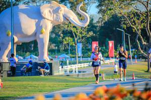 BIB: 
                            <button type="button" onclick="openModal(26183789)" class="btn btn-primary btn-sm float-right btn-popup" data-toggle="modal" data-target=".modal-high-quality">
                        <i class="fas fa-shopping-cart"></i> Add to Cart
                    </button>
                                            <button type="button" onclick="isThisMe(26183789, true)" class="btn btn-success btn-sm float-right btn-popup btn-isme hidden" data-toggle="tooltip" data-placement="bottom" title="นี่คือรูปของคุณใช่ไหม คลิกที่นี่เพื่อเอาเข้าอัลบั้ม">
                        <i class="fas fa-plus"></i> Add to album
                    </button>
                    <button type="button" onclick="isThisMe(26183789, false)" class="btn btn-warning btn-sm float-right btn-popup btn-isnotme hidden">
                        <i class="fas fa-ban"></i> Remove from album
                    </button>