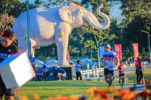 BIB: 
                            <button type="button" onclick="openModal(26183801)" class="btn btn-primary btn-sm float-right btn-popup" data-toggle="modal" data-target=".modal-high-quality">
                        <i class="fas fa-shopping-cart"></i> Add to Cart
                    </button>
                                            <button type="button" onclick="isThisMe(26183801, true)" class="btn btn-success btn-sm float-right btn-popup btn-isme hidden" data-toggle="tooltip" data-placement="bottom" title="นี่คือรูปของคุณใช่ไหม คลิกที่นี่เพื่อเอาเข้าอัลบั้ม">
                        <i class="fas fa-plus"></i> Add to album
                    </button>
                    <button type="button" onclick="isThisMe(26183801, false)" class="btn btn-warning btn-sm float-right btn-popup btn-isnotme hidden">
                        <i class="fas fa-ban"></i> Remove from album
                    </button>