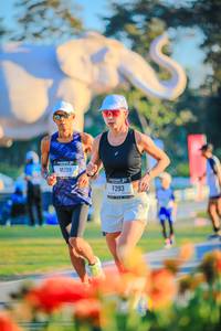 BIB: 
                            <button type="button" onclick="openModal(26183889)" class="btn btn-primary btn-sm float-right btn-popup" data-toggle="modal" data-target=".modal-high-quality">
                        <i class="fas fa-shopping-cart"></i> Add to Cart
                    </button>
                                            <button type="button" onclick="isThisMe(26183889, true)" class="btn btn-success btn-sm float-right btn-popup btn-isme hidden" data-toggle="tooltip" data-placement="bottom" title="นี่คือรูปของคุณใช่ไหม คลิกที่นี่เพื่อเอาเข้าอัลบั้ม">
                        <i class="fas fa-plus"></i> Add to album
                    </button>
                    <button type="button" onclick="isThisMe(26183889, false)" class="btn btn-warning btn-sm float-right btn-popup btn-isnotme hidden">
                        <i class="fas fa-ban"></i> Remove from album
                    </button>