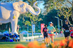 BIB: 
                            <button type="button" onclick="openModal(26183983)" class="btn btn-primary btn-sm float-right btn-popup" data-toggle="modal" data-target=".modal-high-quality">
                        <i class="fas fa-shopping-cart"></i> Add to Cart
                    </button>
                                            <button type="button" onclick="isThisMe(26183983, true)" class="btn btn-success btn-sm float-right btn-popup btn-isme hidden" data-toggle="tooltip" data-placement="bottom" title="นี่คือรูปของคุณใช่ไหม คลิกที่นี่เพื่อเอาเข้าอัลบั้ม">
                        <i class="fas fa-plus"></i> Add to album
                    </button>
                    <button type="button" onclick="isThisMe(26183983, false)" class="btn btn-warning btn-sm float-right btn-popup btn-isnotme hidden">
                        <i class="fas fa-ban"></i> Remove from album
                    </button>