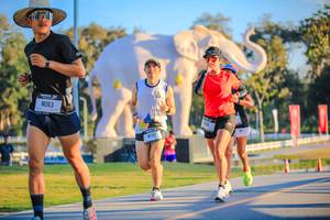 BIB: 
                            <button type="button" onclick="openModal(26183528)" class="btn btn-primary btn-sm float-right btn-popup" data-toggle="modal" data-target=".modal-high-quality">
                        <i class="fas fa-shopping-cart"></i> Add to Cart
                    </button>
                                            <button type="button" onclick="isThisMe(26183528, true)" class="btn btn-success btn-sm float-right btn-popup btn-isme hidden" data-toggle="tooltip" data-placement="bottom" title="นี่คือรูปของคุณใช่ไหม คลิกที่นี่เพื่อเอาเข้าอัลบั้ม">
                        <i class="fas fa-plus"></i> Add to album
                    </button>
                    <button type="button" onclick="isThisMe(26183528, false)" class="btn btn-warning btn-sm float-right btn-popup btn-isnotme hidden">
                        <i class="fas fa-ban"></i> Remove from album
                    </button>