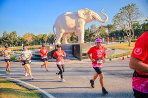 BIB: 
                            <button type="button" onclick="openModal(26186536)" class="btn btn-primary btn-sm float-right btn-popup" data-toggle="modal" data-target=".modal-high-quality">
                        <i class="fas fa-shopping-cart"></i> Add to Cart
                    </button>
                                            <button type="button" onclick="isThisMe(26186536, true)" class="btn btn-success btn-sm float-right btn-popup btn-isme hidden" data-toggle="tooltip" data-placement="bottom" title="นี่คือรูปของคุณใช่ไหม คลิกที่นี่เพื่อเอาเข้าอัลบั้ม">
                        <i class="fas fa-plus"></i> Add to album
                    </button>
                    <button type="button" onclick="isThisMe(26186536, false)" class="btn btn-warning btn-sm float-right btn-popup btn-isnotme hidden">
                        <i class="fas fa-ban"></i> Remove from album
                    </button>