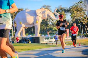 BIB: 
                            <button type="button" onclick="openModal(26183584)" class="btn btn-primary btn-sm float-right btn-popup" data-toggle="modal" data-target=".modal-high-quality">
                        <i class="fas fa-shopping-cart"></i> Add to Cart
                    </button>
                                            <button type="button" onclick="isThisMe(26183584, true)" class="btn btn-success btn-sm float-right btn-popup btn-isme hidden" data-toggle="tooltip" data-placement="bottom" title="นี่คือรูปของคุณใช่ไหม คลิกที่นี่เพื่อเอาเข้าอัลบั้ม">
                        <i class="fas fa-plus"></i> Add to album
                    </button>
                    <button type="button" onclick="isThisMe(26183584, false)" class="btn btn-warning btn-sm float-right btn-popup btn-isnotme hidden">
                        <i class="fas fa-ban"></i> Remove from album
                    </button>