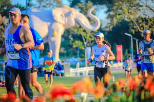 BIB: 
                            <button type="button" onclick="openModal(26184030)" class="btn btn-primary btn-sm float-right btn-popup" data-toggle="modal" data-target=".modal-high-quality">
                        <i class="fas fa-shopping-cart"></i> Add to Cart
                    </button>
                                            <button type="button" onclick="isThisMe(26184030, true)" class="btn btn-success btn-sm float-right btn-popup btn-isme hidden" data-toggle="tooltip" data-placement="bottom" title="นี่คือรูปของคุณใช่ไหม คลิกที่นี่เพื่อเอาเข้าอัลบั้ม">
                        <i class="fas fa-plus"></i> Add to album
                    </button>
                    <button type="button" onclick="isThisMe(26184030, false)" class="btn btn-warning btn-sm float-right btn-popup btn-isnotme hidden">
                        <i class="fas fa-ban"></i> Remove from album
                    </button>