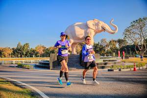 BIB: 
                            <button type="button" onclick="openModal(26186452)" class="btn btn-primary btn-sm float-right btn-popup" data-toggle="modal" data-target=".modal-high-quality">
                        <i class="fas fa-shopping-cart"></i> Add to Cart
                    </button>
                                            <button type="button" onclick="isThisMe(26186452, true)" class="btn btn-success btn-sm float-right btn-popup btn-isme hidden" data-toggle="tooltip" data-placement="bottom" title="นี่คือรูปของคุณใช่ไหม คลิกที่นี่เพื่อเอาเข้าอัลบั้ม">
                        <i class="fas fa-plus"></i> Add to album
                    </button>
                    <button type="button" onclick="isThisMe(26186452, false)" class="btn btn-warning btn-sm float-right btn-popup btn-isnotme hidden">
                        <i class="fas fa-ban"></i> Remove from album
                    </button>