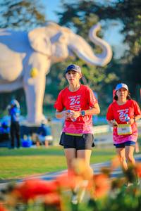 BIB: 
                            <button type="button" onclick="openModal(26183904)" class="btn btn-primary btn-sm float-right btn-popup" data-toggle="modal" data-target=".modal-high-quality">
                        <i class="fas fa-shopping-cart"></i> Add to Cart
                    </button>
                                            <button type="button" onclick="isThisMe(26183904, true)" class="btn btn-success btn-sm float-right btn-popup btn-isme hidden" data-toggle="tooltip" data-placement="bottom" title="นี่คือรูปของคุณใช่ไหม คลิกที่นี่เพื่อเอาเข้าอัลบั้ม">
                        <i class="fas fa-plus"></i> Add to album
                    </button>
                    <button type="button" onclick="isThisMe(26183904, false)" class="btn btn-warning btn-sm float-right btn-popup btn-isnotme hidden">
                        <i class="fas fa-ban"></i> Remove from album
                    </button>