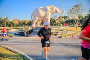 BIB: 
                            <button type="button" onclick="openModal(26186560)" class="btn btn-primary btn-sm float-right btn-popup" data-toggle="modal" data-target=".modal-high-quality">
                        <i class="fas fa-shopping-cart"></i> Add to Cart
                    </button>
                                            <button type="button" onclick="isThisMe(26186560, true)" class="btn btn-success btn-sm float-right btn-popup btn-isme hidden" data-toggle="tooltip" data-placement="bottom" title="นี่คือรูปของคุณใช่ไหม คลิกที่นี่เพื่อเอาเข้าอัลบั้ม">
                        <i class="fas fa-plus"></i> Add to album
                    </button>
                    <button type="button" onclick="isThisMe(26186560, false)" class="btn btn-warning btn-sm float-right btn-popup btn-isnotme hidden">
                        <i class="fas fa-ban"></i> Remove from album
                    </button>