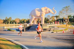 BIB: 
                            <button type="button" onclick="openModal(26186656)" class="btn btn-primary btn-sm float-right btn-popup" data-toggle="modal" data-target=".modal-high-quality">
                        <i class="fas fa-shopping-cart"></i> Add to Cart
                    </button>
                                            <button type="button" onclick="isThisMe(26186656, true)" class="btn btn-success btn-sm float-right btn-popup btn-isme hidden" data-toggle="tooltip" data-placement="bottom" title="นี่คือรูปของคุณใช่ไหม คลิกที่นี่เพื่อเอาเข้าอัลบั้ม">
                        <i class="fas fa-plus"></i> Add to album
                    </button>
                    <button type="button" onclick="isThisMe(26186656, false)" class="btn btn-warning btn-sm float-right btn-popup btn-isnotme hidden">
                        <i class="fas fa-ban"></i> Remove from album
                    </button>