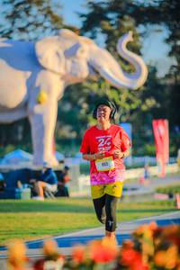 BIB: 
                            <button type="button" onclick="openModal(26183830)" class="btn btn-primary btn-sm float-right btn-popup" data-toggle="modal" data-target=".modal-high-quality">
                        <i class="fas fa-shopping-cart"></i> Add to Cart
                    </button>
                                            <button type="button" onclick="isThisMe(26183830, true)" class="btn btn-success btn-sm float-right btn-popup btn-isme hidden" data-toggle="tooltip" data-placement="bottom" title="นี่คือรูปของคุณใช่ไหม คลิกที่นี่เพื่อเอาเข้าอัลบั้ม">
                        <i class="fas fa-plus"></i> Add to album
                    </button>
                    <button type="button" onclick="isThisMe(26183830, false)" class="btn btn-warning btn-sm float-right btn-popup btn-isnotme hidden">
                        <i class="fas fa-ban"></i> Remove from album
                    </button>