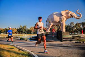 BIB: 
                            <button type="button" onclick="openModal(26186360)" class="btn btn-primary btn-sm float-right btn-popup" data-toggle="modal" data-target=".modal-high-quality">
                        <i class="fas fa-shopping-cart"></i> Add to Cart
                    </button>
                                            <button type="button" onclick="isThisMe(26186360, true)" class="btn btn-success btn-sm float-right btn-popup btn-isme hidden" data-toggle="tooltip" data-placement="bottom" title="นี่คือรูปของคุณใช่ไหม คลิกที่นี่เพื่อเอาเข้าอัลบั้ม">
                        <i class="fas fa-plus"></i> Add to album
                    </button>
                    <button type="button" onclick="isThisMe(26186360, false)" class="btn btn-warning btn-sm float-right btn-popup btn-isnotme hidden">
                        <i class="fas fa-ban"></i> Remove from album
                    </button>