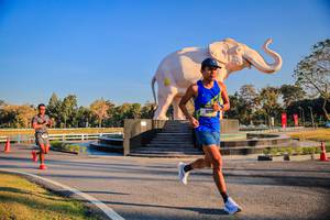 BIB: 
                            <button type="button" onclick="openModal(26186410)" class="btn btn-primary btn-sm float-right btn-popup" data-toggle="modal" data-target=".modal-high-quality">
                        <i class="fas fa-shopping-cart"></i> Add to Cart
                    </button>
                                            <button type="button" onclick="isThisMe(26186410, true)" class="btn btn-success btn-sm float-right btn-popup btn-isme hidden" data-toggle="tooltip" data-placement="bottom" title="นี่คือรูปของคุณใช่ไหม คลิกที่นี่เพื่อเอาเข้าอัลบั้ม">
                        <i class="fas fa-plus"></i> Add to album
                    </button>
                    <button type="button" onclick="isThisMe(26186410, false)" class="btn btn-warning btn-sm float-right btn-popup btn-isnotme hidden">
                        <i class="fas fa-ban"></i> Remove from album
                    </button>