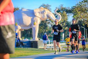 BIB: 
                            <button type="button" onclick="openModal(26183668)" class="btn btn-primary btn-sm float-right btn-popup" data-toggle="modal" data-target=".modal-high-quality">
                        <i class="fas fa-shopping-cart"></i> Add to Cart
                    </button>
                                            <button type="button" onclick="isThisMe(26183668, true)" class="btn btn-success btn-sm float-right btn-popup btn-isme hidden" data-toggle="tooltip" data-placement="bottom" title="นี่คือรูปของคุณใช่ไหม คลิกที่นี่เพื่อเอาเข้าอัลบั้ม">
                        <i class="fas fa-plus"></i> Add to album
                    </button>
                    <button type="button" onclick="isThisMe(26183668, false)" class="btn btn-warning btn-sm float-right btn-popup btn-isnotme hidden">
                        <i class="fas fa-ban"></i> Remove from album
                    </button>