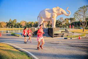 BIB: 
                            <button type="button" onclick="openModal(26186672)" class="btn btn-primary btn-sm float-right btn-popup" data-toggle="modal" data-target=".modal-high-quality">
                        <i class="fas fa-shopping-cart"></i> Add to Cart
                    </button>
                                            <button type="button" onclick="isThisMe(26186672, true)" class="btn btn-success btn-sm float-right btn-popup btn-isme hidden" data-toggle="tooltip" data-placement="bottom" title="นี่คือรูปของคุณใช่ไหม คลิกที่นี่เพื่อเอาเข้าอัลบั้ม">
                        <i class="fas fa-plus"></i> Add to album
                    </button>
                    <button type="button" onclick="isThisMe(26186672, false)" class="btn btn-warning btn-sm float-right btn-popup btn-isnotme hidden">
                        <i class="fas fa-ban"></i> Remove from album
                    </button>