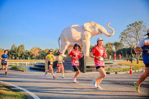 BIB: 
                            <button type="button" onclick="openModal(26186470)" class="btn btn-primary btn-sm float-right btn-popup" data-toggle="modal" data-target=".modal-high-quality">
                        <i class="fas fa-shopping-cart"></i> Add to Cart
                    </button>
                                            <button type="button" onclick="isThisMe(26186470, true)" class="btn btn-success btn-sm float-right btn-popup btn-isme hidden" data-toggle="tooltip" data-placement="bottom" title="นี่คือรูปของคุณใช่ไหม คลิกที่นี่เพื่อเอาเข้าอัลบั้ม">
                        <i class="fas fa-plus"></i> Add to album
                    </button>
                    <button type="button" onclick="isThisMe(26186470, false)" class="btn btn-warning btn-sm float-right btn-popup btn-isnotme hidden">
                        <i class="fas fa-ban"></i> Remove from album
                    </button>