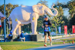 BIB: 
                            <button type="button" onclick="openModal(26183763)" class="btn btn-primary btn-sm float-right btn-popup" data-toggle="modal" data-target=".modal-high-quality">
                        <i class="fas fa-shopping-cart"></i> Add to Cart
                    </button>
                                            <button type="button" onclick="isThisMe(26183763, true)" class="btn btn-success btn-sm float-right btn-popup btn-isme hidden" data-toggle="tooltip" data-placement="bottom" title="นี่คือรูปของคุณใช่ไหม คลิกที่นี่เพื่อเอาเข้าอัลบั้ม">
                        <i class="fas fa-plus"></i> Add to album
                    </button>
                    <button type="button" onclick="isThisMe(26183763, false)" class="btn btn-warning btn-sm float-right btn-popup btn-isnotme hidden">
                        <i class="fas fa-ban"></i> Remove from album
                    </button>