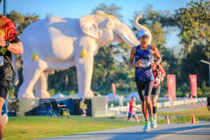 BIB: 
                            <button type="button" onclick="openModal(26183556)" class="btn btn-primary btn-sm float-right btn-popup" data-toggle="modal" data-target=".modal-high-quality">
                        <i class="fas fa-shopping-cart"></i> Add to Cart
                    </button>
                                            <button type="button" onclick="isThisMe(26183556, true)" class="btn btn-success btn-sm float-right btn-popup btn-isme hidden" data-toggle="tooltip" data-placement="bottom" title="นี่คือรูปของคุณใช่ไหม คลิกที่นี่เพื่อเอาเข้าอัลบั้ม">
                        <i class="fas fa-plus"></i> Add to album
                    </button>
                    <button type="button" onclick="isThisMe(26183556, false)" class="btn btn-warning btn-sm float-right btn-popup btn-isnotme hidden">
                        <i class="fas fa-ban"></i> Remove from album
                    </button>