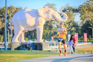 BIB: 
                            <button type="button" onclick="openModal(26183456)" class="btn btn-primary btn-sm float-right btn-popup" data-toggle="modal" data-target=".modal-high-quality">
                        <i class="fas fa-shopping-cart"></i> Add to Cart
                    </button>
                                            <button type="button" onclick="isThisMe(26183456, true)" class="btn btn-success btn-sm float-right btn-popup btn-isme hidden" data-toggle="tooltip" data-placement="bottom" title="นี่คือรูปของคุณใช่ไหม คลิกที่นี่เพื่อเอาเข้าอัลบั้ม">
                        <i class="fas fa-plus"></i> Add to album
                    </button>
                    <button type="button" onclick="isThisMe(26183456, false)" class="btn btn-warning btn-sm float-right btn-popup btn-isnotme hidden">
                        <i class="fas fa-ban"></i> Remove from album
                    </button>