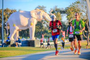 BIB: 
                            <button type="button" onclick="openModal(26183776)" class="btn btn-primary btn-sm float-right btn-popup" data-toggle="modal" data-target=".modal-high-quality">
                        <i class="fas fa-shopping-cart"></i> Add to Cart
                    </button>
                                            <button type="button" onclick="isThisMe(26183776, true)" class="btn btn-success btn-sm float-right btn-popup btn-isme hidden" data-toggle="tooltip" data-placement="bottom" title="นี่คือรูปของคุณใช่ไหม คลิกที่นี่เพื่อเอาเข้าอัลบั้ม">
                        <i class="fas fa-plus"></i> Add to album
                    </button>
                    <button type="button" onclick="isThisMe(26183776, false)" class="btn btn-warning btn-sm float-right btn-popup btn-isnotme hidden">
                        <i class="fas fa-ban"></i> Remove from album
                    </button>