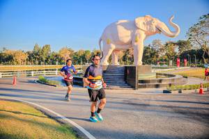 BIB: 
                            <button type="button" onclick="openModal(26186604)" class="btn btn-primary btn-sm float-right btn-popup" data-toggle="modal" data-target=".modal-high-quality">
                        <i class="fas fa-shopping-cart"></i> Add to Cart
                    </button>
                                            <button type="button" onclick="isThisMe(26186604, true)" class="btn btn-success btn-sm float-right btn-popup btn-isme hidden" data-toggle="tooltip" data-placement="bottom" title="นี่คือรูปของคุณใช่ไหม คลิกที่นี่เพื่อเอาเข้าอัลบั้ม">
                        <i class="fas fa-plus"></i> Add to album
                    </button>
                    <button type="button" onclick="isThisMe(26186604, false)" class="btn btn-warning btn-sm float-right btn-popup btn-isnotme hidden">
                        <i class="fas fa-ban"></i> Remove from album
                    </button>