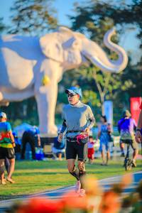 BIB: 
                            <button type="button" onclick="openModal(26183874)" class="btn btn-primary btn-sm float-right btn-popup" data-toggle="modal" data-target=".modal-high-quality">
                        <i class="fas fa-shopping-cart"></i> Add to Cart
                    </button>
                                            <button type="button" onclick="isThisMe(26183874, true)" class="btn btn-success btn-sm float-right btn-popup btn-isme hidden" data-toggle="tooltip" data-placement="bottom" title="นี่คือรูปของคุณใช่ไหม คลิกที่นี่เพื่อเอาเข้าอัลบั้ม">
                        <i class="fas fa-plus"></i> Add to album
                    </button>
                    <button type="button" onclick="isThisMe(26183874, false)" class="btn btn-warning btn-sm float-right btn-popup btn-isnotme hidden">
                        <i class="fas fa-ban"></i> Remove from album
                    </button>