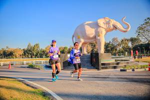 BIB: 
                            <button type="button" onclick="openModal(26186450)" class="btn btn-primary btn-sm float-right btn-popup" data-toggle="modal" data-target=".modal-high-quality">
                        <i class="fas fa-shopping-cart"></i> Add to Cart
                    </button>
                                            <button type="button" onclick="isThisMe(26186450, true)" class="btn btn-success btn-sm float-right btn-popup btn-isme hidden" data-toggle="tooltip" data-placement="bottom" title="นี่คือรูปของคุณใช่ไหม คลิกที่นี่เพื่อเอาเข้าอัลบั้ม">
                        <i class="fas fa-plus"></i> Add to album
                    </button>
                    <button type="button" onclick="isThisMe(26186450, false)" class="btn btn-warning btn-sm float-right btn-popup btn-isnotme hidden">
                        <i class="fas fa-ban"></i> Remove from album
                    </button>