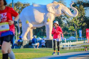 BIB: 
                            <button type="button" onclick="openModal(26183756)" class="btn btn-primary btn-sm float-right btn-popup" data-toggle="modal" data-target=".modal-high-quality">
                        <i class="fas fa-shopping-cart"></i> Add to Cart
                    </button>
                                            <button type="button" onclick="isThisMe(26183756, true)" class="btn btn-success btn-sm float-right btn-popup btn-isme hidden" data-toggle="tooltip" data-placement="bottom" title="นี่คือรูปของคุณใช่ไหม คลิกที่นี่เพื่อเอาเข้าอัลบั้ม">
                        <i class="fas fa-plus"></i> Add to album
                    </button>
                    <button type="button" onclick="isThisMe(26183756, false)" class="btn btn-warning btn-sm float-right btn-popup btn-isnotme hidden">
                        <i class="fas fa-ban"></i> Remove from album
                    </button>