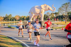 BIB: 
                            <button type="button" onclick="openModal(26186539)" class="btn btn-primary btn-sm float-right btn-popup" data-toggle="modal" data-target=".modal-high-quality">
                        <i class="fas fa-shopping-cart"></i> Add to Cart
                    </button>
                                            <button type="button" onclick="isThisMe(26186539, true)" class="btn btn-success btn-sm float-right btn-popup btn-isme hidden" data-toggle="tooltip" data-placement="bottom" title="นี่คือรูปของคุณใช่ไหม คลิกที่นี่เพื่อเอาเข้าอัลบั้ม">
                        <i class="fas fa-plus"></i> Add to album
                    </button>
                    <button type="button" onclick="isThisMe(26186539, false)" class="btn btn-warning btn-sm float-right btn-popup btn-isnotme hidden">
                        <i class="fas fa-ban"></i> Remove from album
                    </button>